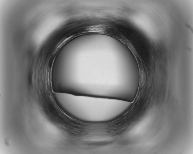 X0000095511487200712140923