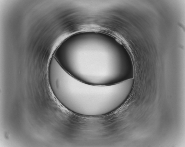 X0000095511488200712140923