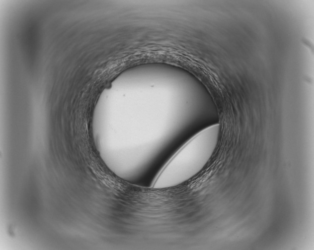 X0000095511489200712140923