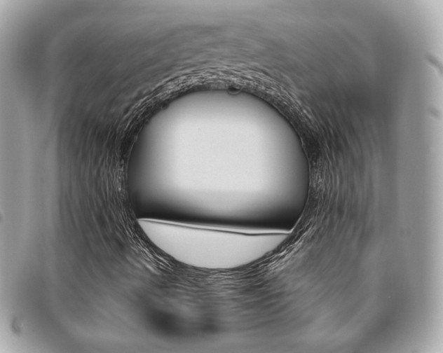 X0000095511490200712140923