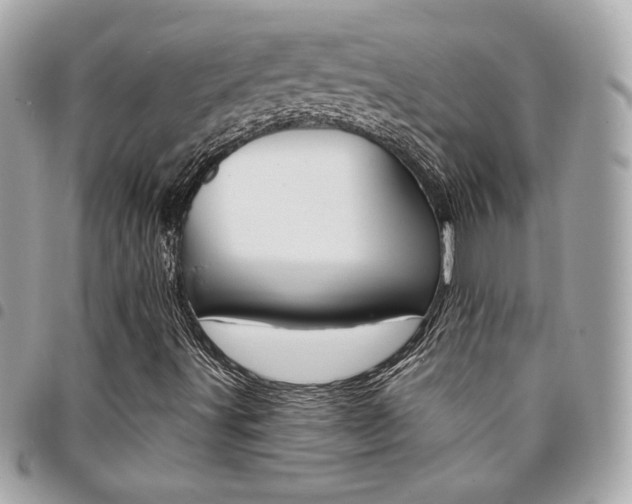X0000095511491200712140923