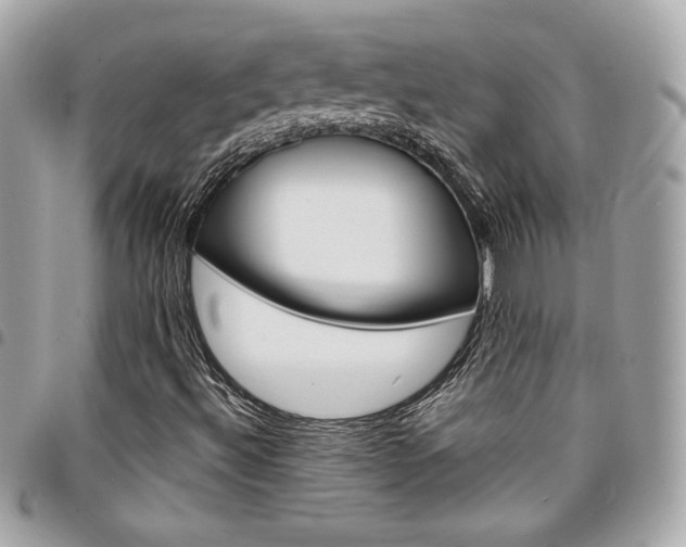 X0000095511492200712140923