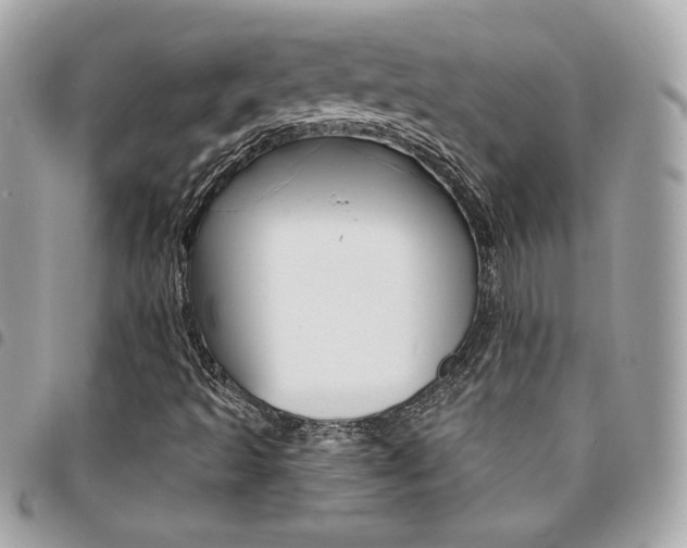 X0000095511493200712140923