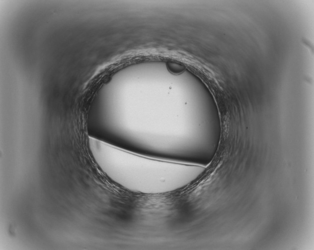X0000095511494200712140923