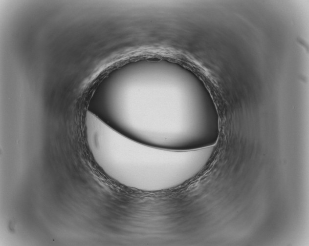X0000095511496200712140923