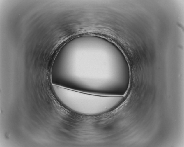 X0000095511497200712140923