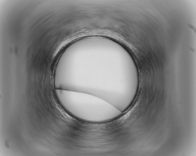 X0000095511498200712140923