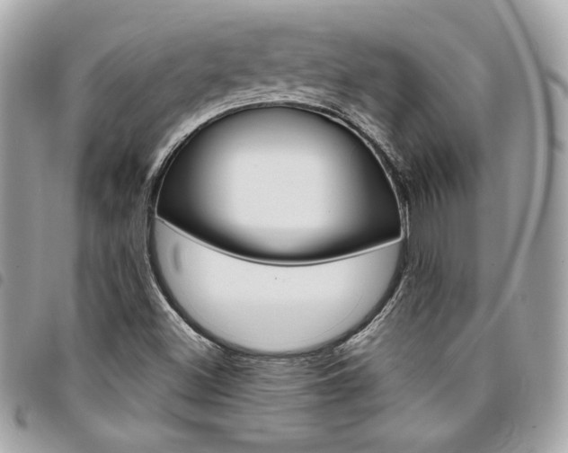 X0000095511500200712140923