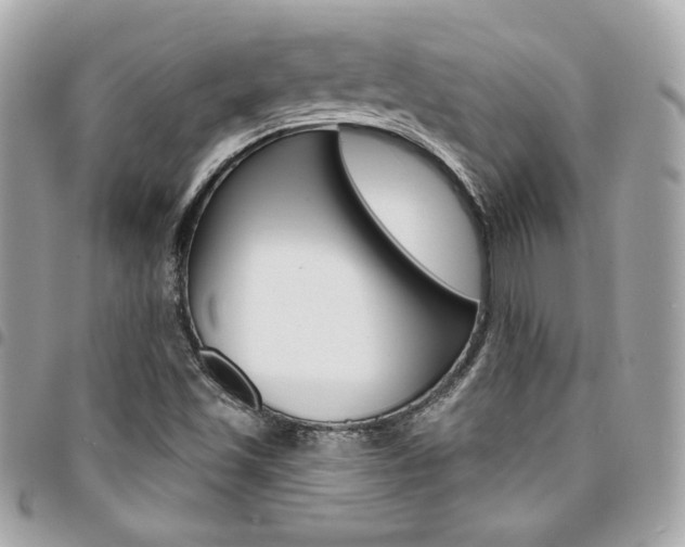 X0000095511501200712140923