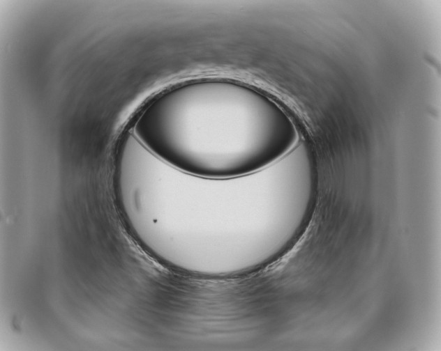 X0000095511502200712140923