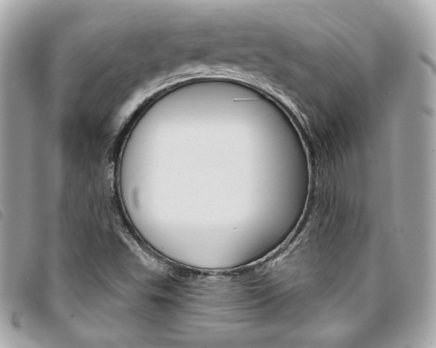 X0000095511503200712140923