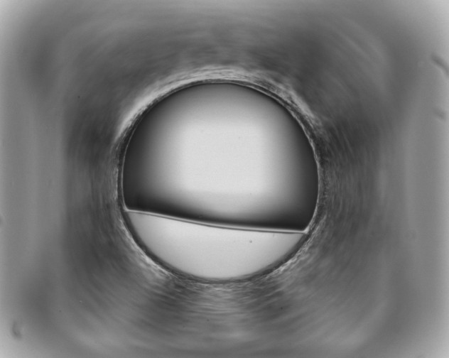 X0000095511504200712140923