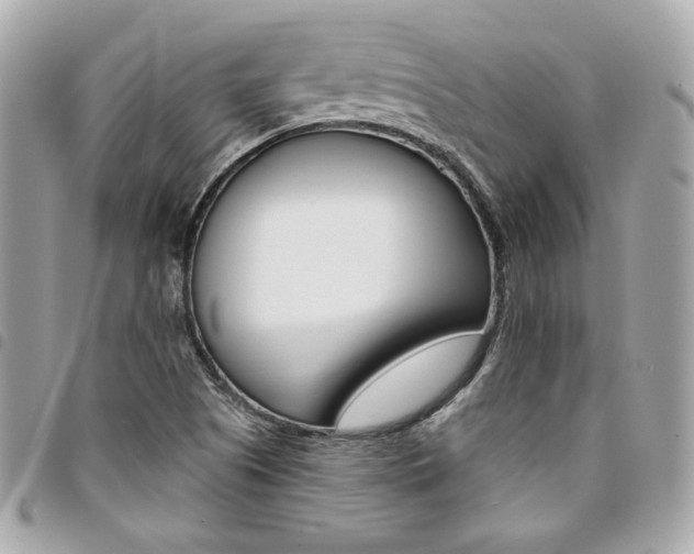 X0000095511505200712140923