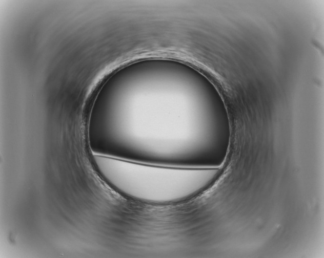 X0000095511506200712140923