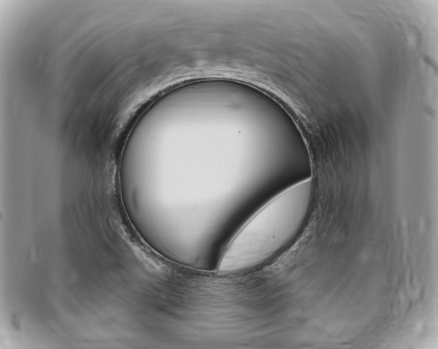 X0000095511507200712140923