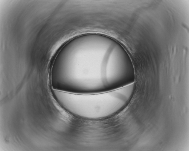 X0000095511511200712140923