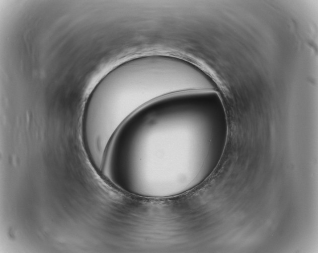 X0000095511512200712140923
