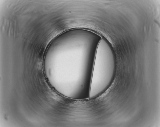 X0000095511513200712140923