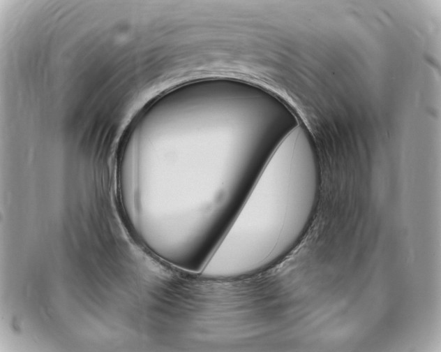 X0000095511515200712140923
