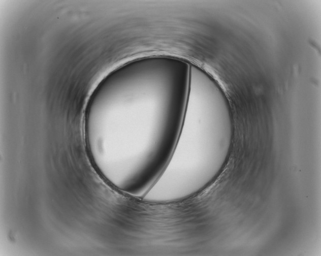 X0000095511516200712140923