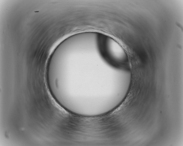X0000095511518200712140923