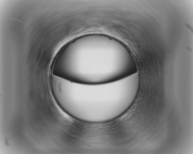 X0000095511519200712140923