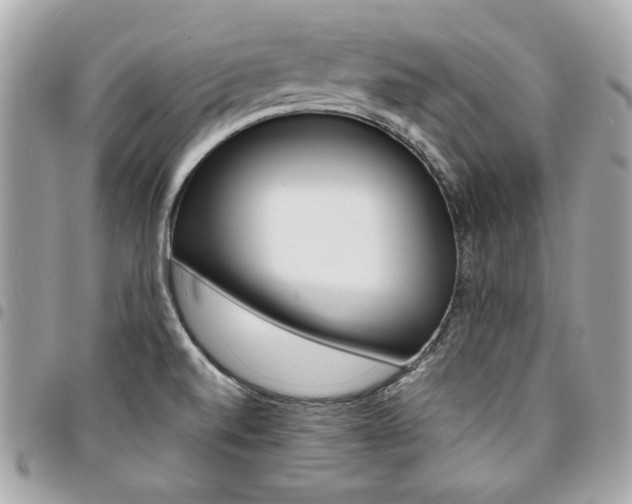 X0000095511520200712140923