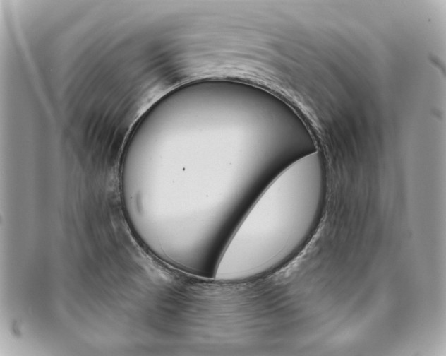 X0000095511521200712140923