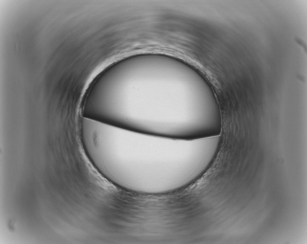 X0000095511522200712140923