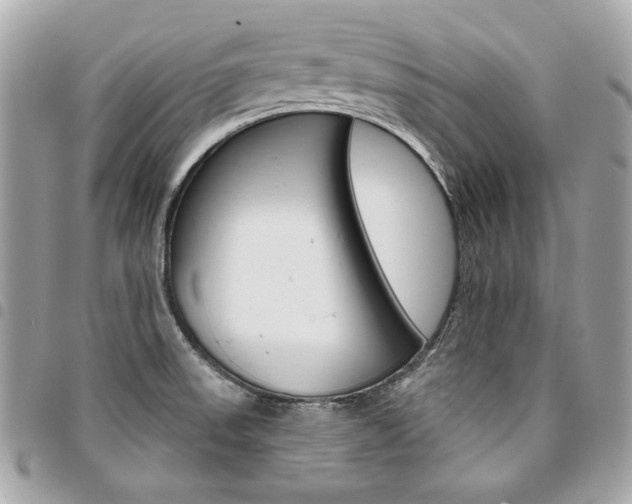 X0000095511523200712140923