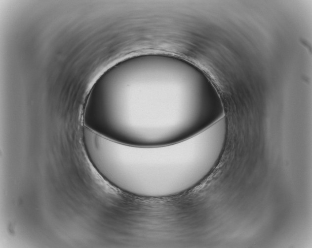 X0000095511524200712140923