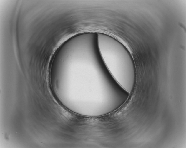 X0000095511525200712140923