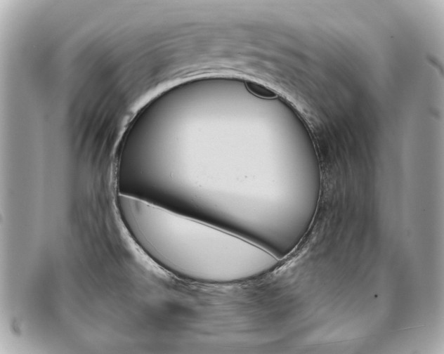 X0000095511526200712140923