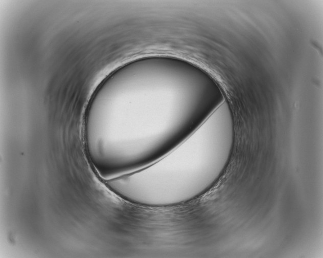 X0000095511527200712140923