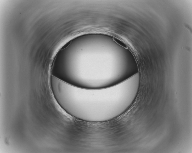 X0000095511528200712140923