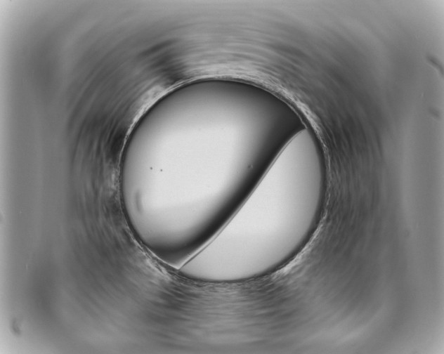 X0000095511529200712140923