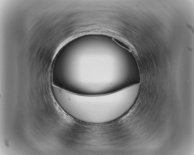 X0000095511530200712140923