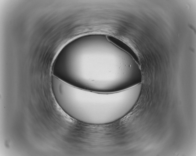 X0000095511532200712140923