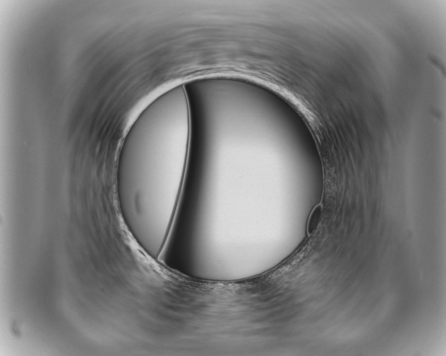 X0000095511534200712140923