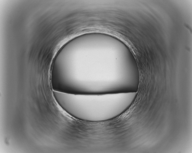 X0000095511535200712140923