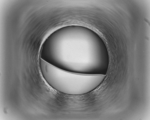 X0000095511536200712140923