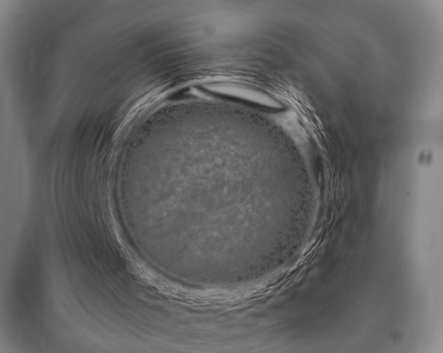 X0000095510001200712141434