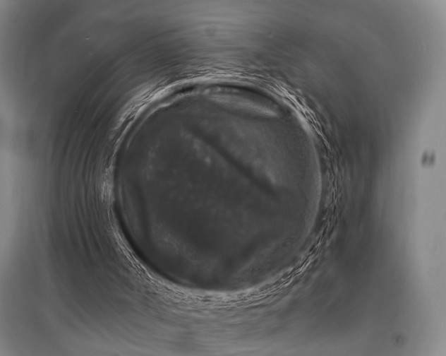 X0000095510002200712141434