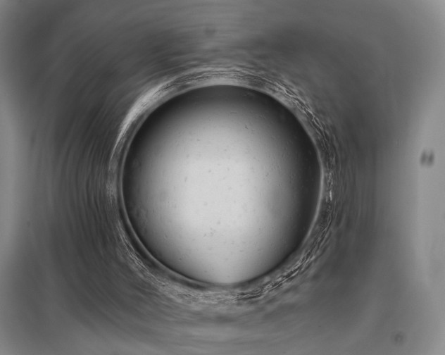 X0000095510004200712141434