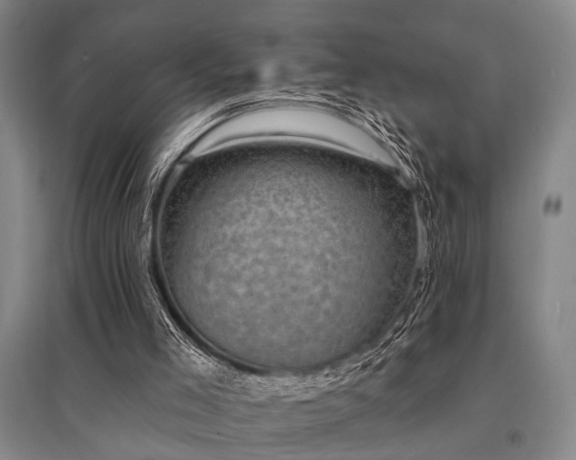 X0000095510005200712141434