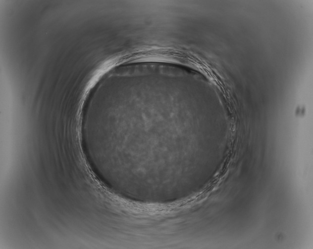 X0000095510006200712141434