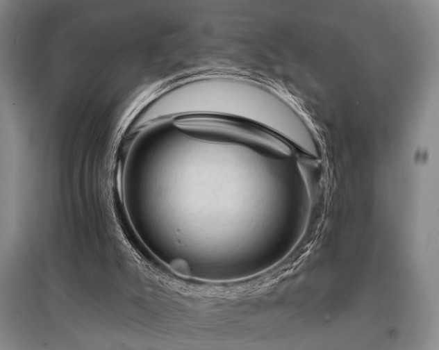 X0000095510007200712141434