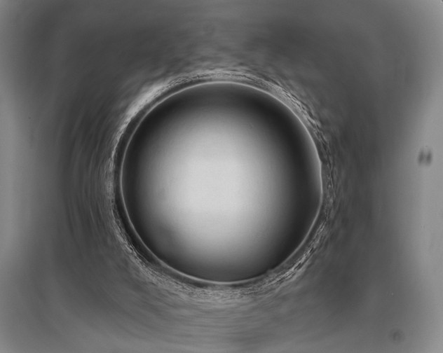 X0000095510008200712141434