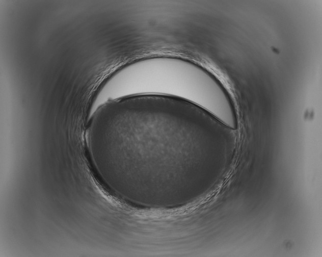 X0000095510009200712141434