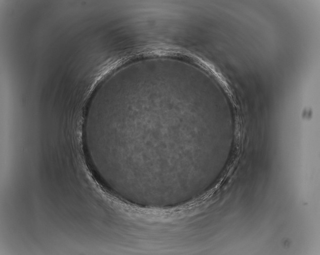 X0000095510010200712141434